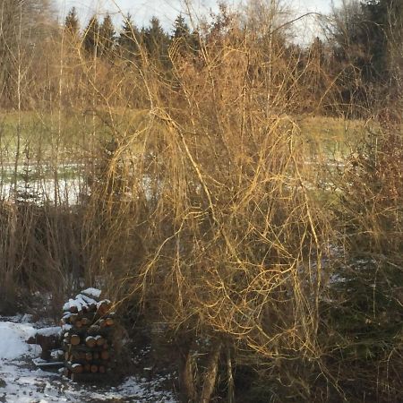 Privatzimmer Vermietung Helmut Buergmann Kirchberg bei Mattighofen Kültér fotó